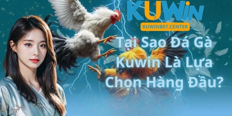 Luật chơi quy tắc cơ bản đá gà cựa dao 