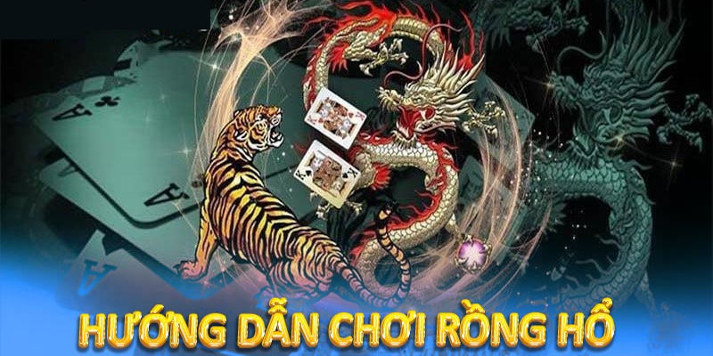 Hướng dẫn chơi rồng hổ